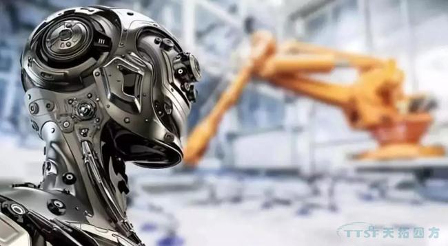 ���������Ա������ķ���|2019���й�����������ʮ��չ�ؼ���